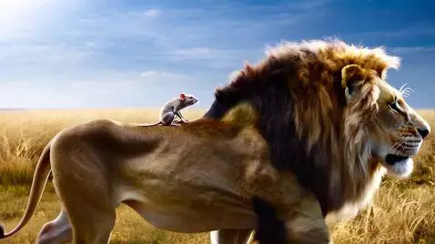 AI Video from prompt: A cute little mouse rides on a lion's back.