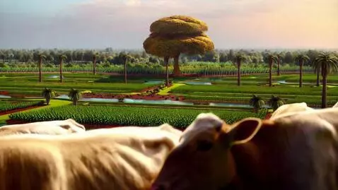 AI Video from prompt: Garden as wide as the heavens and earth,  Garden