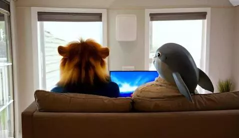 AI Video from prompt: a lion and a dolphin hanging out together in a h