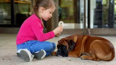 AI Video from prompt: A video of a cute girl putting down a dandelion 