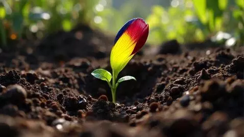 AI Video from prompt: Timelapse of vibrant flowers blooming from soil,