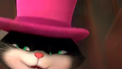 cats with funny hats dancing