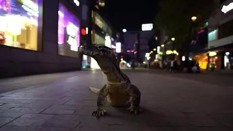 AI Video from prompt: AI Video of a komodo dragon wearing nike air jor