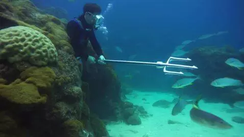 AI Video from prompt: God Poseidon designing a giant aquarium with div