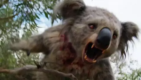 A terrifying Australian creature known as a "Dro