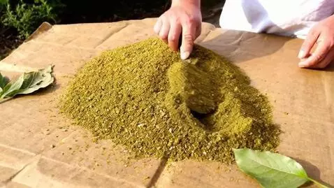 AI Video from prompt: Scene 3:  spread powdered grind into powder leav