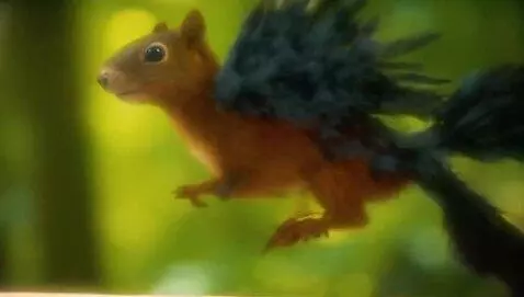 AI Video from prompt: A squirrel transforming into a crow while runnin