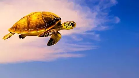 AI Video from prompt: coconut turtle flying through the sky