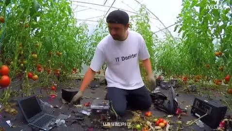 AI Video from prompt: ИТ-директор находящийся в теплице, где выращиваю