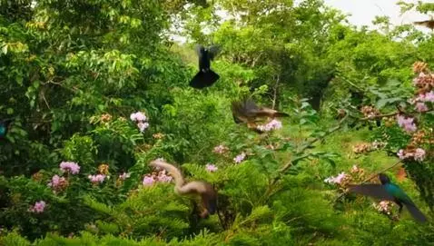 AI Video from prompt: A vibrant video capturing the essence of life in