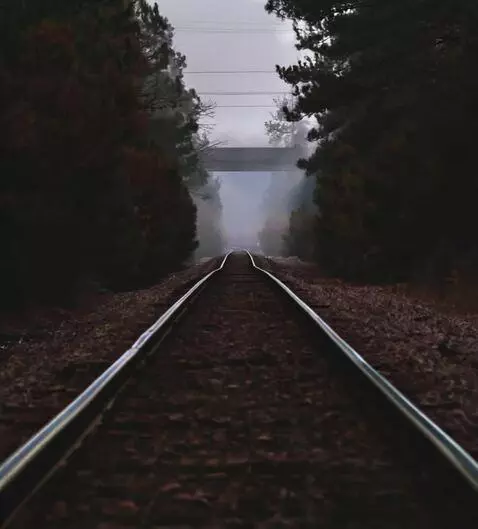AI Video from prompt: Fog rolling, branches waving, raining