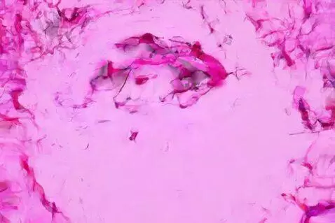AI Video from prompt: Shank Glitchmilk Buzzcut Sludge Holojam Dumpster