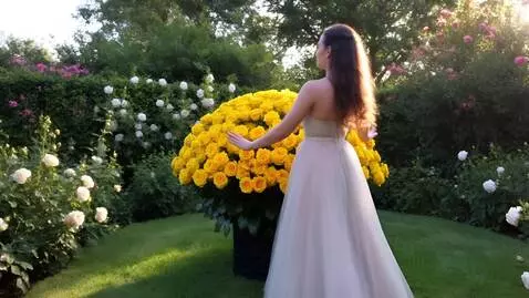 AI Video from prompt: Dansează suav,in jurul unui buchet imens de tran