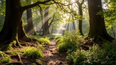 AI Video from prompt: A sunny afternoon in an ancient, lush British wo