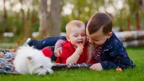 AI Video from prompt: Baby is eating dog’s tale and his brother is wat