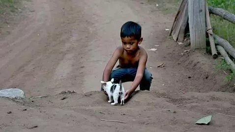 AI Video from prompt: A young poor boy rescuing a cute kitten that tur