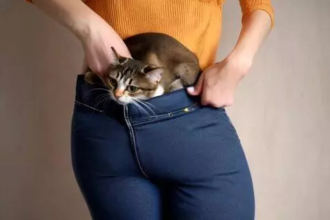 AI Video from prompt: woman who put a cat inside her pants