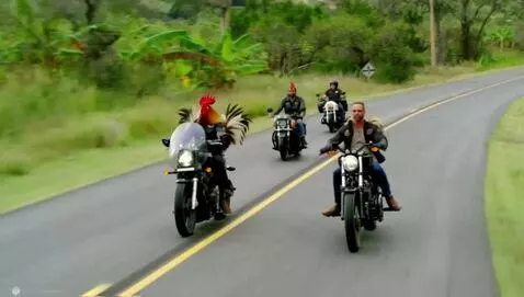 AI Video from prompt: Three chicken riding three motorcycles