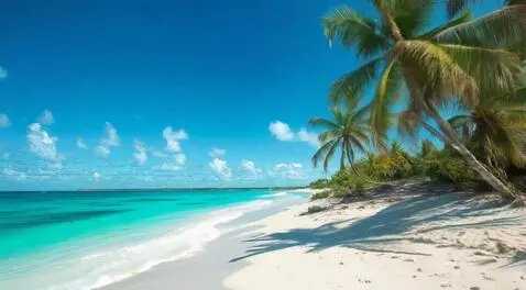AI Video from prompt: A breathtaking daytime Caribbean beach under a c