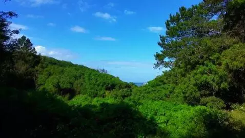 AI Video from prompt: Relaxing Ambience Videos with loop
