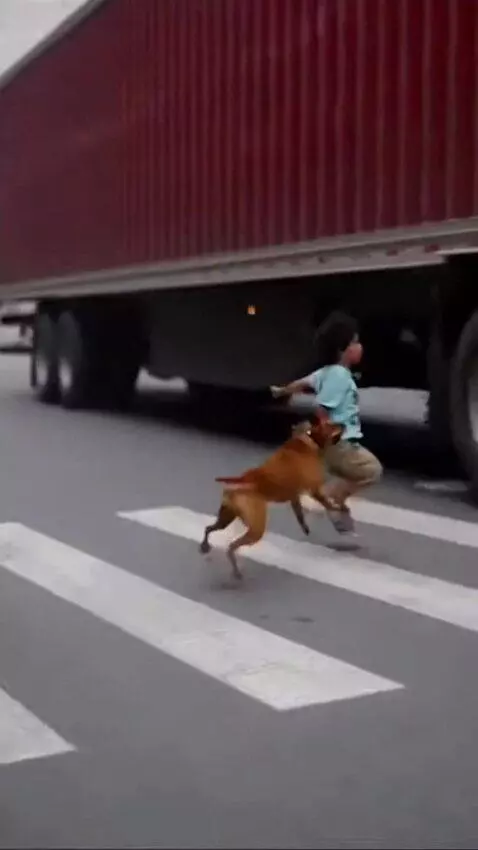 AI Video from prompt: Create a video of a child been saved by a dog fr