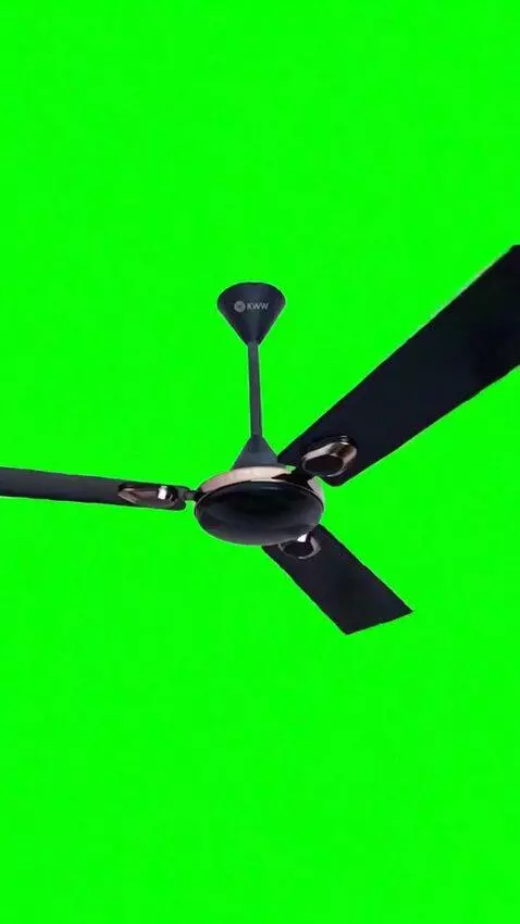 AI Video from prompt: "Use the uploaded fan image exactly as provided.