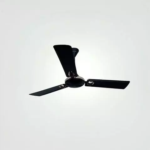 AI Video from prompt: "Use the uploaded fan image exactly as provided.