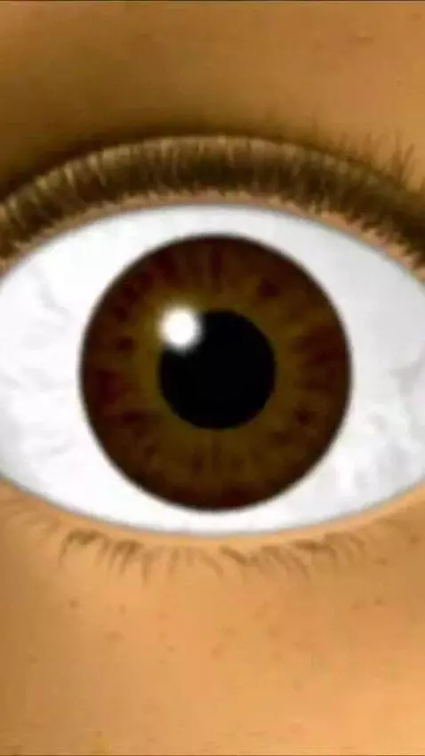 AI Video from prompt: Make The Violet Background And Music In The Back