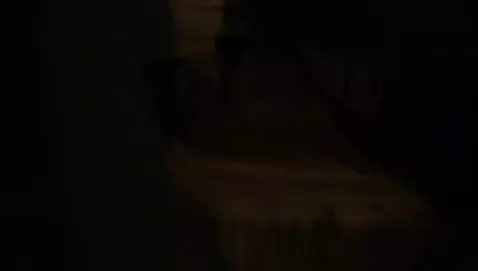 Mochi 1 video