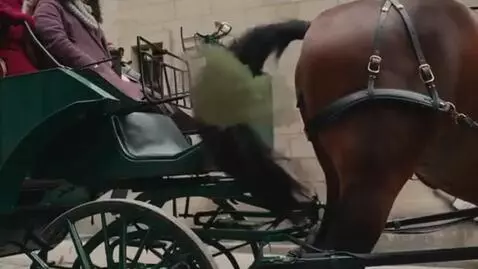 AI Video from prompt: A shot of a carriage horse lifting and raising i