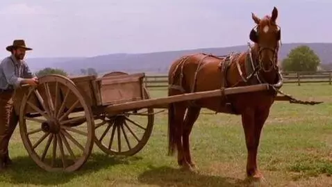 AI Video from prompt: Make a cart go in front a of a horse