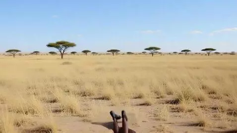 AI Video from prompt: The black girl starts burrowing down headfirst w