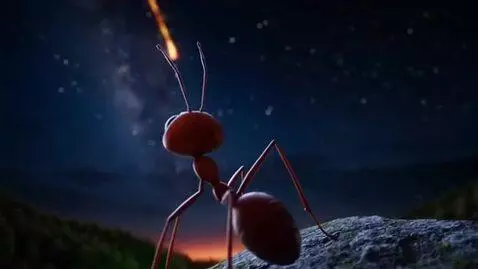 AI Video from prompt: The Last Ant Kingdom: Rise of the Tiny Warriors 