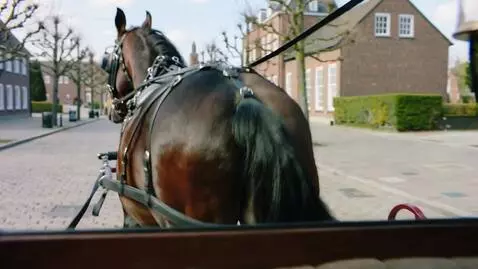AI Video from prompt: A shot of a moving carriage horse lifting and ra
