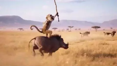 AI Video from prompt: A monkey riding a warthog is driving through the