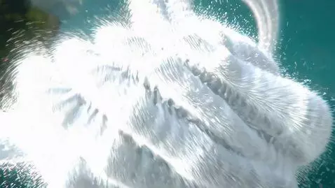 AI Video from prompt: "A realistic shiny red apple launches high into 