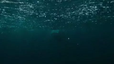 AI Video from prompt: The camera quickly moves along the ocean shore a