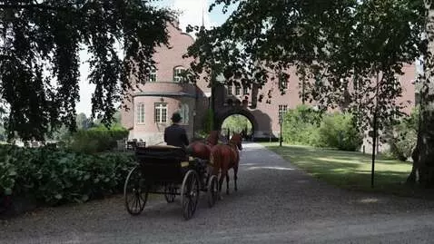 AI Video from prompt: Horse carriage moves forward slowly