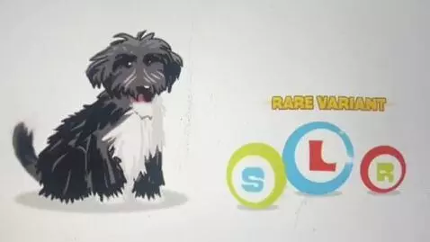 AI Video from prompt: Slr Productions Dog Dropping The Letter  S Toy R