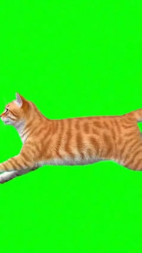 AI Video from prompt: Use the provided image as the exact visual refer
