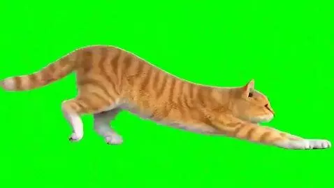 AI Video from prompt: Use the provided image as the exact visual refer