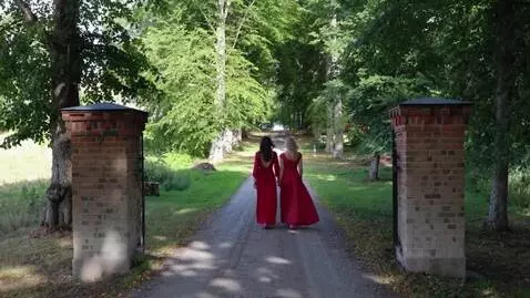 AI Video from prompt: two ladies in red dresses walking in an avenue. 