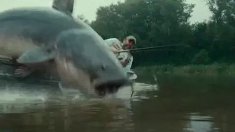 AI Video from prompt: A catfish surfaces in the river near the fisherm