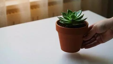 AI Video from prompt: Ratio: 9:16 for Instagram Reels and YouTube Shor