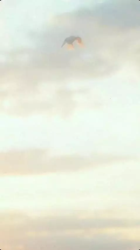 AI Video from prompt: Vertical 9:16 cinematic video, gentle grief and 