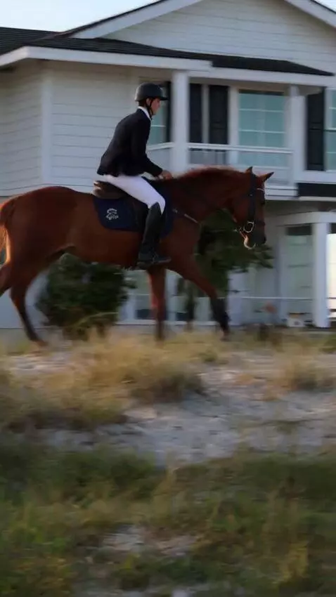 AI Video from prompt: A man on sitting on a house and running with hor