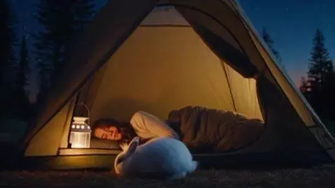 AI Video from prompt: A fashion model girl, a tent in the wilderness, 