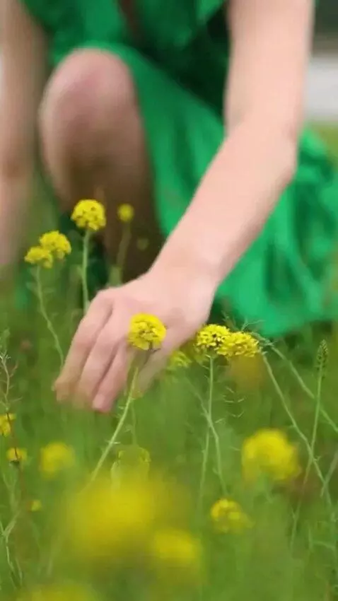 AI Video from prompt: Vika, wearing a short dress, kneels down to pick
