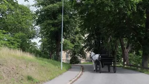 AI Video from prompt: horse carriage drives slowly up the back