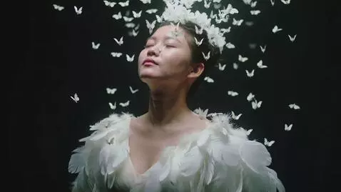 AI Video from prompt: A surnel fine art portrait of based on uploaded 